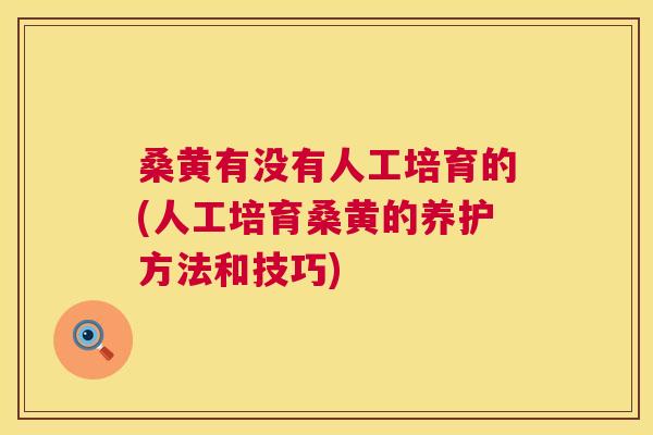 桑黄有没有人工培育的(人工培育桑黄的养护方法和技巧) 桑黄有没有人工培育的(人工培育桑黄的养护方法和技巧)
