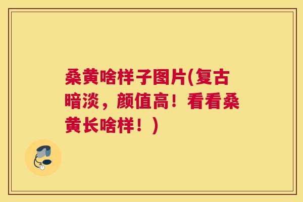 桑黄啥样子图片(复古暗淡,颜值高!看看桑黄长啥样!) 桑黄啥样子图片(复古暗淡,颜值高!看看桑黄长啥样!)
