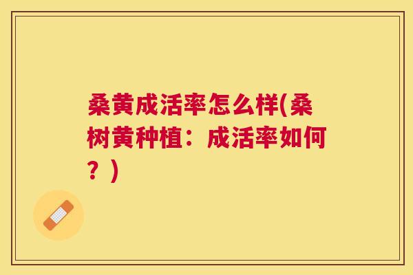 桑黄成活率怎么样(桑树黄种植:成活率如何?) 桑黄成活率怎么样(桑树黄种植:成活率如何?)