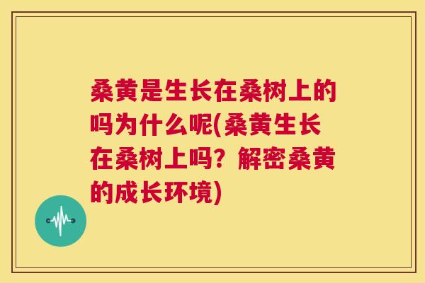 桑黄是生长在桑树上的吗为什么呢(桑黄生长在桑树上吗?解密桑黄的成长环境) 桑黄是生长在桑树上的吗为什么呢(桑黄生长在桑树上吗?解密桑黄的成长环境)