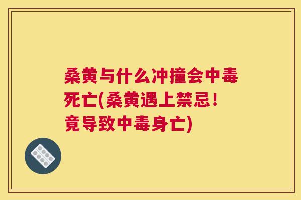 桑黄与什么冲撞会中毒死亡(桑黄遇上禁忌!竟导致中毒身亡) 桑黄与什么冲撞会中毒死亡(桑黄遇上禁忌!竟导致中毒身亡)