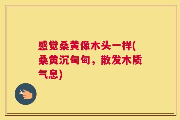 感觉桑黄像木头一样(桑黄沉甸甸,散发木质气息) 感觉桑黄像木头一样(桑黄沉甸甸,散发木质气息)