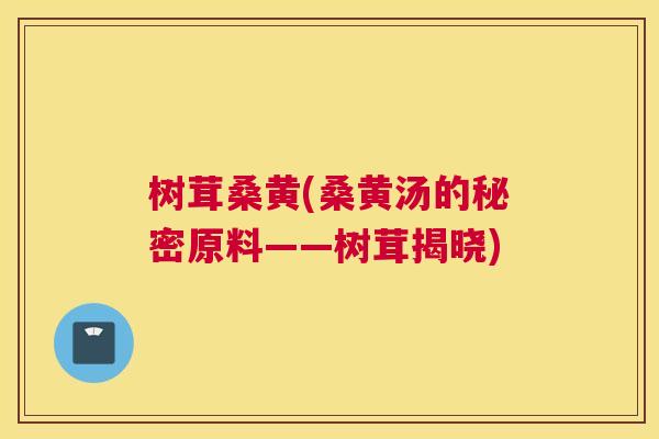 树茸桑黄(桑黄汤的秘密原料——树茸揭晓) 树茸桑黄(桑黄汤的秘密原料——树茸揭晓)