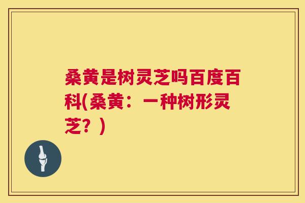 桑黄是树灵芝吗百度百科(桑黄：一种树形灵芝？)