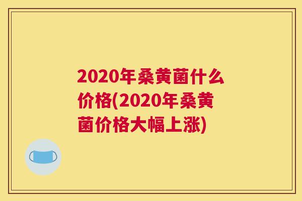 2020年桑黄菌什么价格(2020年桑黄菌价格大幅上涨) 2020年桑黄菌什么价格(2020年桑黄菌价格大幅上涨)
