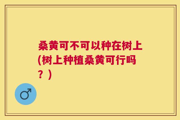 桑黄可不可以种在树上(树上种植桑黄可行吗?) 桑黄可不可以种在树上(树上种植桑黄可行吗?)