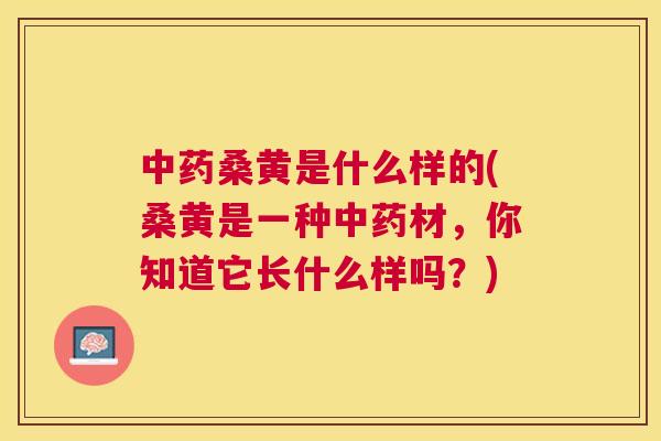 桑黄是什么样的(桑黄是一种材,你知道它长什么样吗?) 桑黄是什么样的(桑黄是一种材,你知道它长什么样吗?)