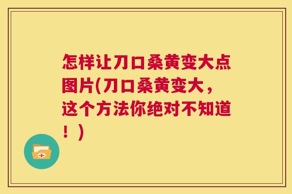 怎样让刀口桑黄变大点图片(刀口桑黄变大,这个方法你绝对不知道!) 怎样让刀口桑黄变大点图片(刀口桑黄变大,这个方法你绝对不知道!)
