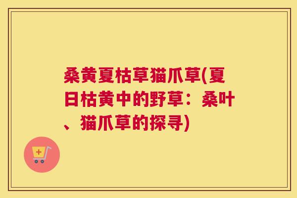 桑黄夏枯草猫爪草(夏日枯黄中的野草:桑叶、猫爪草的探寻) 桑黄夏枯草猫爪草(夏日枯黄中的野草:桑叶、猫爪草的探寻)