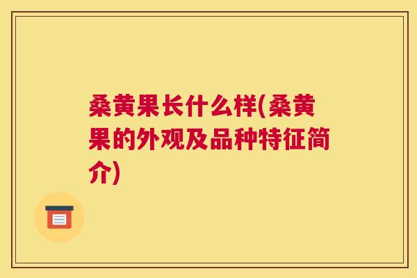 桑黄果长什么样(桑黄果的外观及品种特征简介) 桑黄果长什么样(桑黄果的外观及品种特征简介)