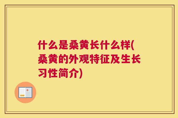什么是桑黄长什么样(桑黄的外观特征及生长习性简介) 什么是桑黄长什么样(桑黄的外观特征及生长习性简介)
