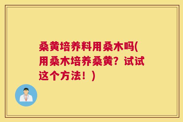 桑黄培养料用桑木吗(用桑木培养桑黄?试试这个方法!) 桑黄培养料用桑木吗(用桑木培养桑黄?试试这个方法!)