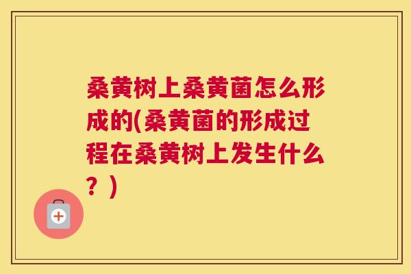 桑黄树上桑黄菌怎么形成的(桑黄菌的形成过程在桑黄树上发生什么?) 桑黄树上桑黄菌怎么形成的(桑黄菌的形成过程在桑黄树上发生什么?)