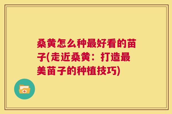 桑黄怎么种好看的苗子(走近桑黄:打造美苗子的种植技巧) 桑黄怎么种好看的苗子(走近桑黄:打造美苗子的种植技巧)