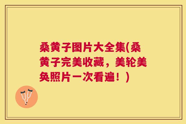 桑黄子图片大全集(桑黄子完美收藏,美轮美奂照片一次看遍!) 桑黄子图片大全集(桑黄子完美收藏,美轮美奂照片一次看遍!)