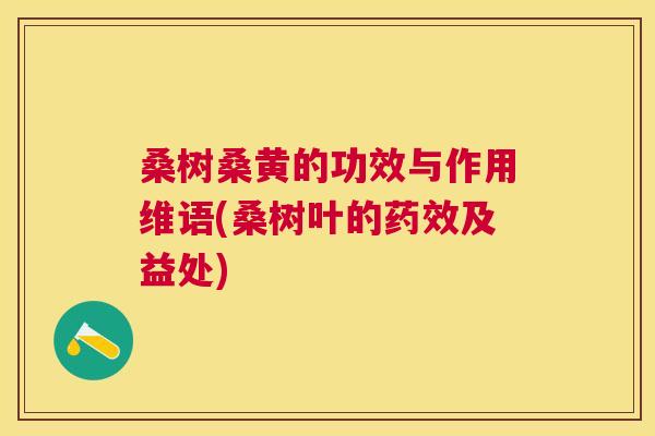 桑树桑黄的功效与作用维语(桑树叶的及益处) 桑树桑黄的功效与作用维语(桑树叶的及益处)