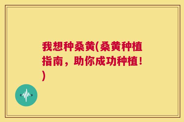 我想种桑黄(桑黄种植指南,助你成功种植!) 我想种桑黄(桑黄种植指南,助你成功种植!)