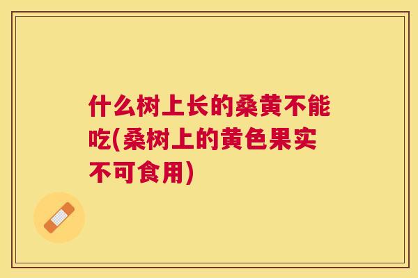 什么树上长的桑黄不能吃(桑树上的黄色果实不可食用) 什么树上长的桑黄不能吃(桑树上的黄色果实不可食用)