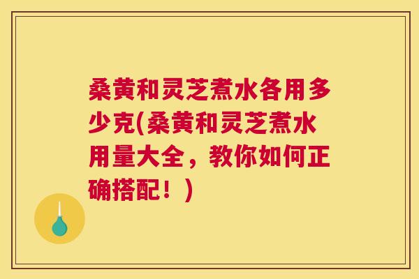 桑黄和灵芝煮水各用多少克(桑黄和灵芝煮水用量大全,教你如何正确搭配!) 桑黄和灵芝煮水各用多少克(桑黄和灵芝煮水用量大全,教你如何正确搭配!)