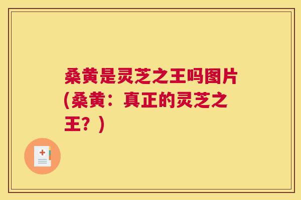 桑黄是灵芝之王吗图片(桑黄:真正的灵芝之王?) 桑黄是灵芝之王吗图片(桑黄:真正的灵芝之王?)