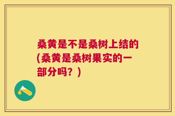 桑黄是不是桑树上结的(桑黄是桑树果实的一部分吗?) 桑黄是不是桑树上结的(桑黄是桑树果实的一部分吗?)