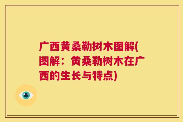 广西黄桑勒树木图解(图解:黄桑勒树木在广西的生长与特点) 广西黄桑勒树木图解(图解:黄桑勒树木在广西的生长与特点)
