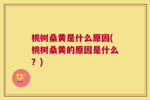 桃树桑黄是什么原因(桃树桑黄的原因是什么?) 桃树桑黄是什么原因(桃树桑黄的原因是什么?)