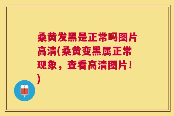 桑黄发黑是正常吗图片高清(桑黄变黑属正常现象,查看高清图片!) 桑黄发黑是正常吗图片高清(桑黄变黑属正常现象,查看高清图片!)