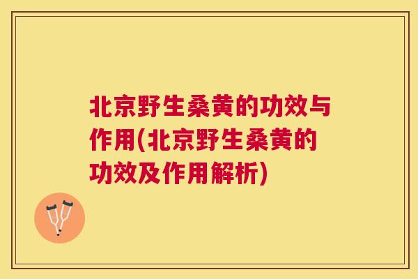 北京野生桑黄的功效与作用(北京野生桑黄的功效及作用解析) 北京野生桑黄的功效与作用(北京野生桑黄的功效及作用解析)