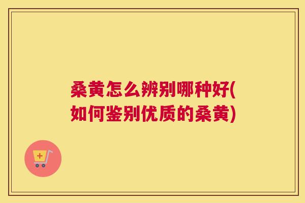 桑黄怎么辨别哪种好(如何鉴别优质的桑黄) 桑黄怎么辨别哪种好(如何鉴别优质的桑黄)