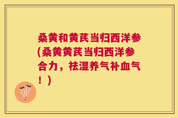 桑黄和黄芪当归西洋参(桑黄黄芪当归西洋参合力,祛湿养气!) 桑黄和黄芪当归西洋参(桑黄黄芪当归西洋参合力,祛湿养气!)
