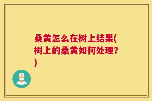桑黄怎么在树上结果(树上的桑黄如何处理？)