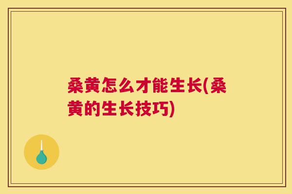 桑黄怎么才能生长(桑黄的生长技巧) 桑黄怎么才能生长(桑黄的生长技巧)