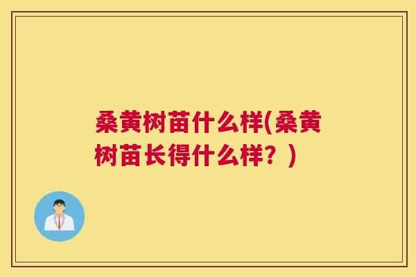 桑黄树苗什么样(桑黄树苗长得什么样?) 桑黄树苗什么样(桑黄树苗长得什么样?)