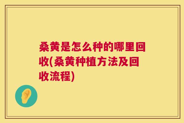 桑黄是怎么种的哪里回收(桑黄种植方法及回收流程) 桑黄是怎么种的哪里回收(桑黄种植方法及回收流程)