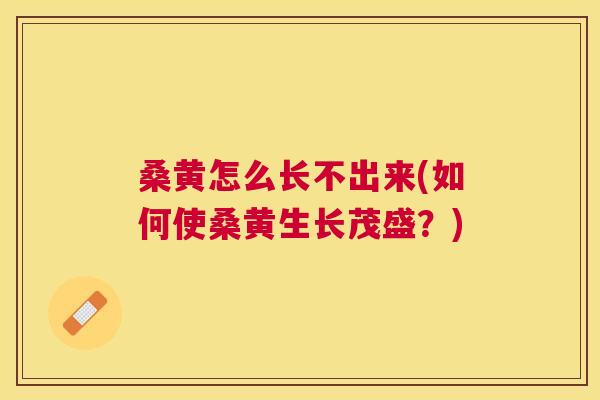 桑黄怎么长不出来(如何使桑黄生长茂盛?) 桑黄怎么长不出来(如何使桑黄生长茂盛?)