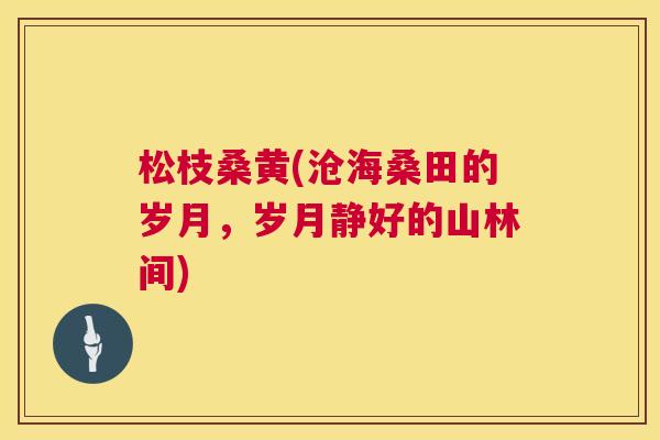 松枝桑黄(沧海桑田的岁月,岁月静好的山林间) 松枝桑黄(沧海桑田的岁月,岁月静好的山林间)