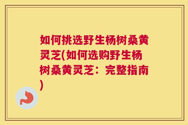 如何挑选野生杨树桑黄灵芝(如何选购野生杨树桑黄灵芝:完整指南) 如何挑选野生杨树桑黄灵芝(如何选购野生杨树桑黄灵芝:完整指南)