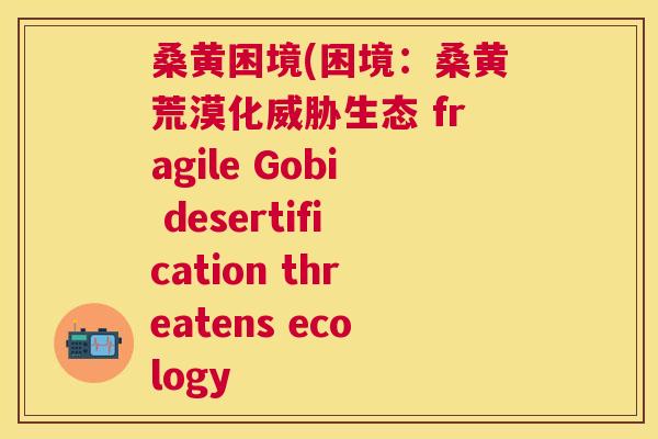 桑黄困境(困境:桑黄荒漠化威胁生态 fragile Gobi desertification threatens ecology 桑黄困境(困境:桑黄荒漠化威胁生态 fragile Gobi desertification threatens ecology