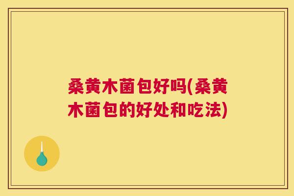 桑黄木菌包好吗(桑黄木菌包的好处和吃法) 桑黄木菌包好吗(桑黄木菌包的好处和吃法)