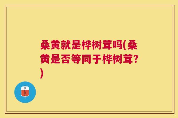 桑黄就是桦树茸吗(桑黄是否等同于桦树茸?) 桑黄就是桦树茸吗(桑黄是否等同于桦树茸?)