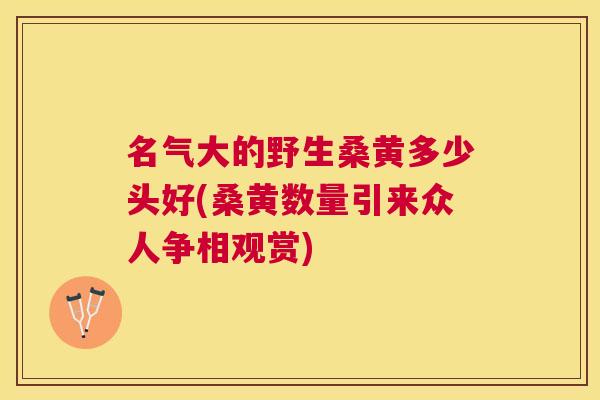 名气大的野生桑黄多少头好(桑黄数量引来众人争相观赏) 名气大的野生桑黄多少头好(桑黄数量引来众人争相观赏)