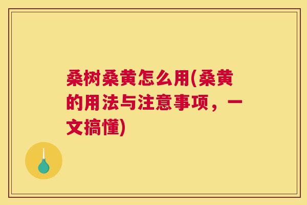 桑树桑黄怎么用(桑黄的用法与注意事项,一文搞懂) 桑树桑黄怎么用(桑黄的用法与注意事项,一文搞懂)