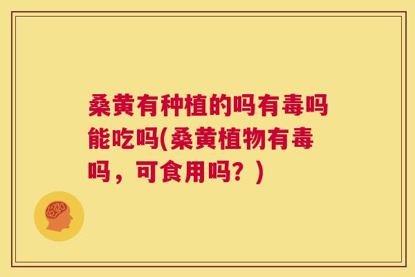 桑黄有种植的吗有毒吗能吃吗(桑黄植物有毒吗,可食用吗?) 桑黄有种植的吗有毒吗能吃吗(桑黄植物有毒吗,可食用吗?)