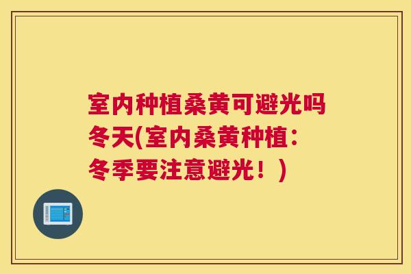 室内种植桑黄可避光吗冬天(室内桑黄种植:冬季要注意避光!) 室内种植桑黄可避光吗冬天(室内桑黄种植:冬季要注意避光!)