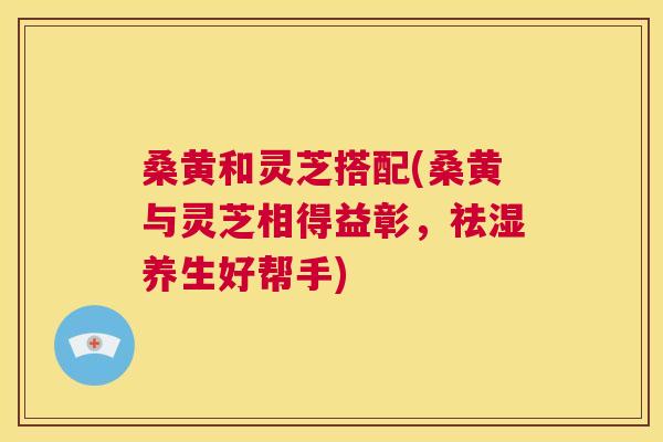 桑黄和灵芝搭配(桑黄与灵芝相得益彰,祛湿养生好帮手) 桑黄和灵芝搭配(桑黄与灵芝相得益彰,祛湿养生好帮手)