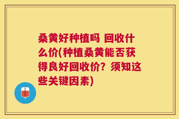 桑黄好种植吗 回收什么价(种植桑黄能否获得良好回收价?须知这些关键因素) 桑黄好种植吗 回收什么价(种植桑黄能否获得良好回收价?须知这些关键因素)