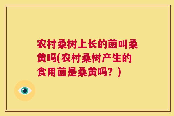 农村桑树上长的菌叫桑黄吗(农村桑树产生的食用菌是桑黄吗?) 农村桑树上长的菌叫桑黄吗(农村桑树产生的食用菌是桑黄吗?)