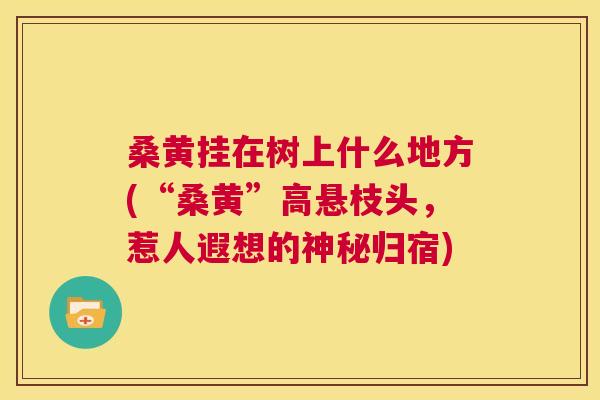 桑黄挂在树上什么地方(“桑黄”高悬枝头,惹人遐想的神秘归宿) 桑黄挂在树上什么地方(“桑黄”高悬枝头,惹人遐想的神秘归宿)