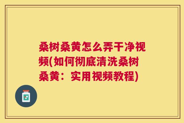 桑树桑黄怎么弄干净视频(如何彻底清洗桑树桑黄:实用视频教程) 桑树桑黄怎么弄干净视频(如何彻底清洗桑树桑黄:实用视频教程)